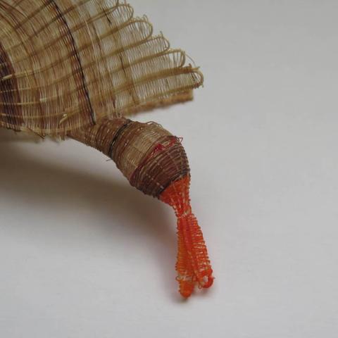 Margarita Valenzuela