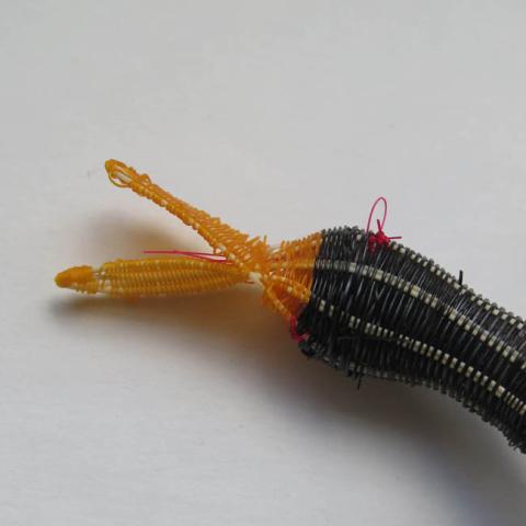 Margarita Valenzuela