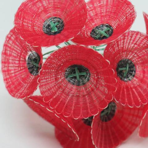 Margarita Valenzuela