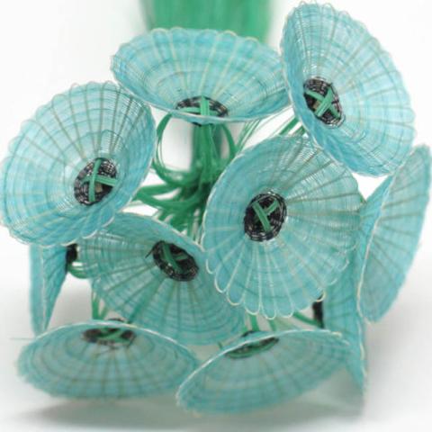 Margarita Valenzuela