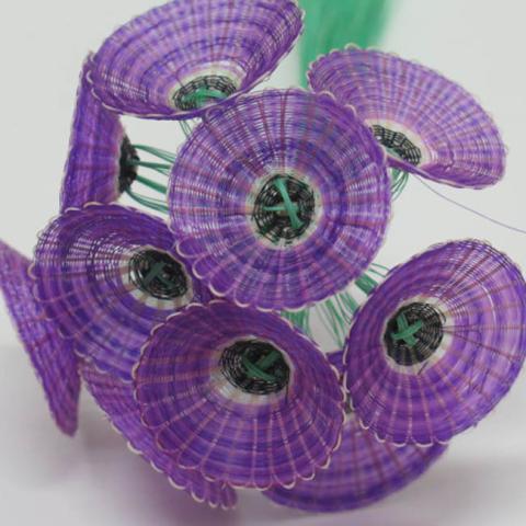 Margarita Valenzuela