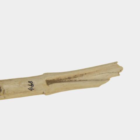 Luis Felipe Mansilla Mánquez