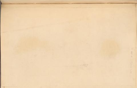 Carolina Correa Orozco