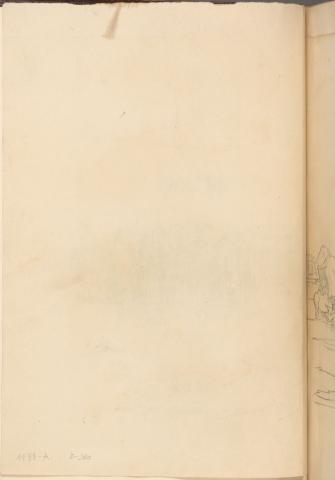 Carolina Correa Orozco