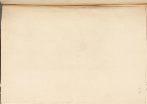 Carolina Correa Orozco