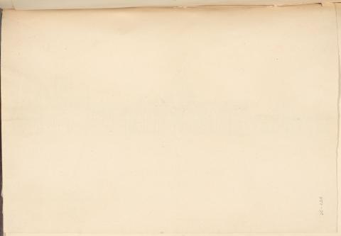 Carolina Correa Orozco