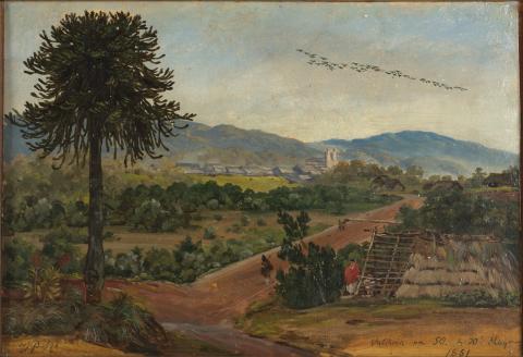 Carolina Correa Orozco