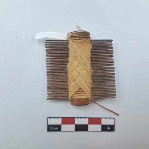 WhatsApp Image 2026-03-01 at 12.13.54 AM (2).jpg