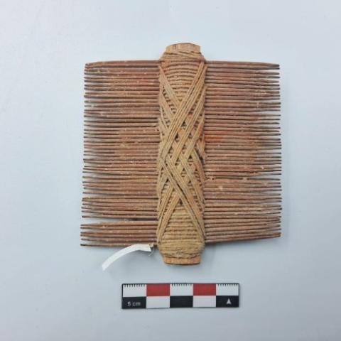 WhatsApp Image 2026-03-01 at 12.25.32 AM.jpg