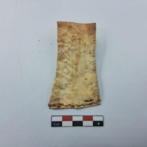 WhatsApp Image 2026-03-01 at 4.14.26 PM (1).jpg