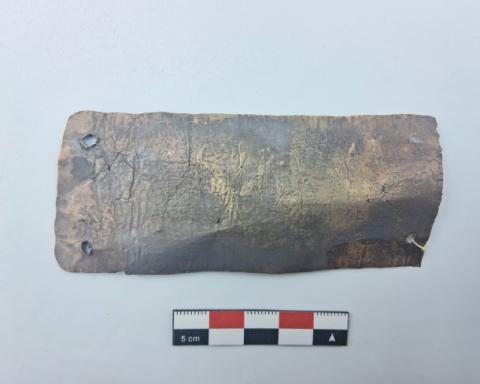 WhatsApp Image 2026-03-01 at 4.34.20 PM (2).jpg