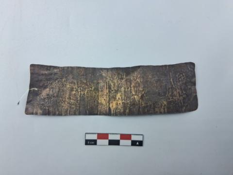 WhatsApp Image 2026-03-01 at 4.34.21 PM (2).jpg