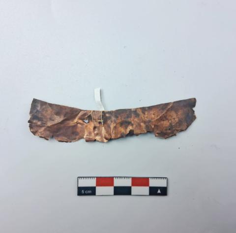 WhatsApp Image 2026-03-01 at 4.34.21 PM (5).jpg