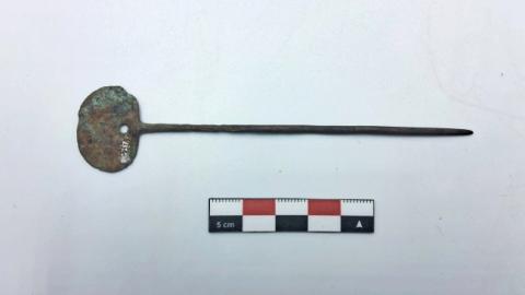 WhatsApp Image 2026-03-01 at 7.46.22 PM (4).jpg