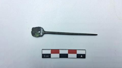 WhatsApp Image 2026-03-01 at 7.46.22 PM (6).jpg