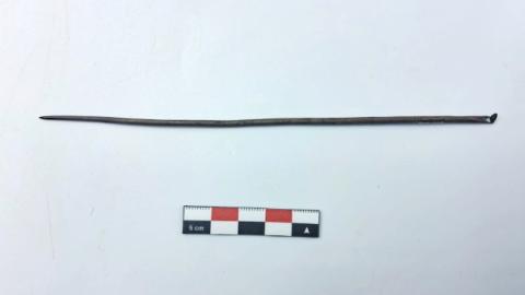 WhatsApp Image 2026-03-03 at 10.44.36 AM.jpg