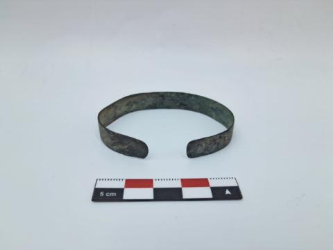 WhatsApp Image 2026-03-11 at 3.45.21 PM (1).jpg