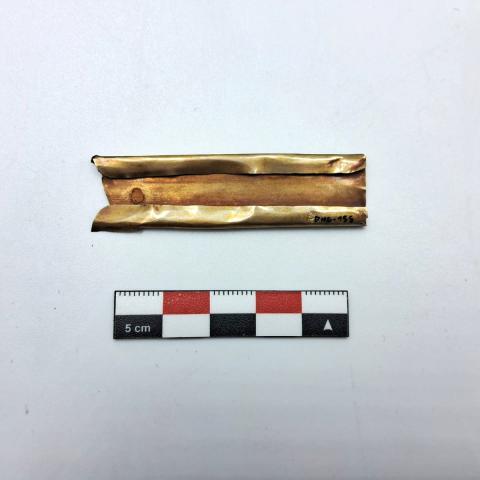 WhatsApp Image 2026-03-12 at 12.20.57 PM.jpeg