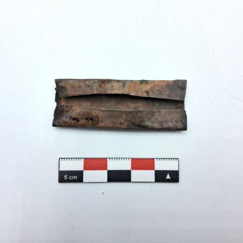 WhatsApp Image 2026-03-12 at 12.21.02 PM.jpg