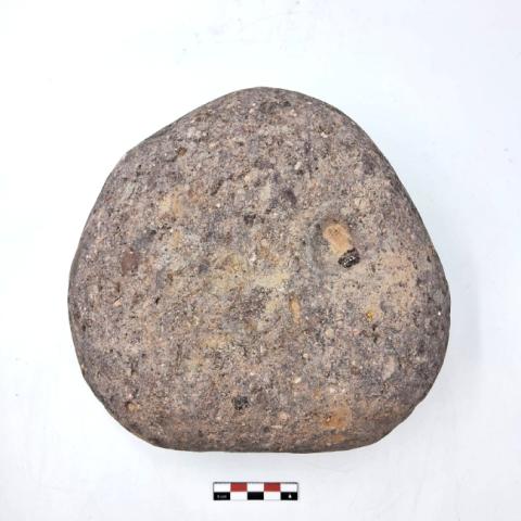 WhatsApp Image 2026-03-13 at 11.43.40 AM.jpg