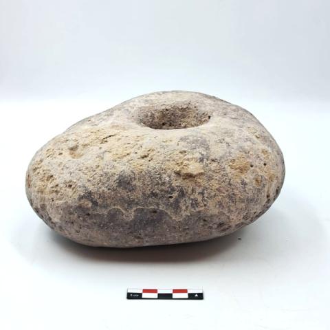 WhatsApp Image 2026-03-13 at 12.02.04 PM.jpg