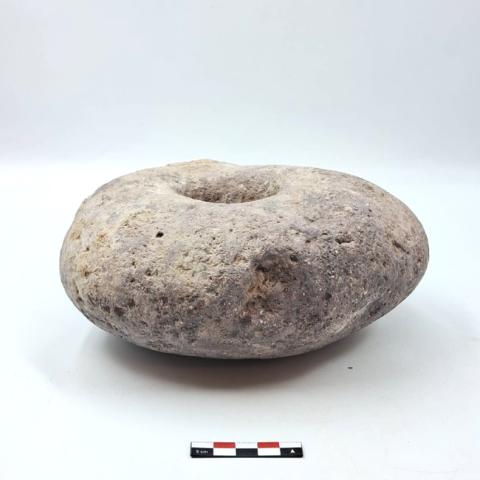 WhatsApp Image 2026-03-13 at 12.02.05 PM.jpg