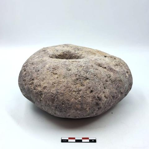 WhatsApp Image 2026-03-13 at 12.02.07 PM.jpg