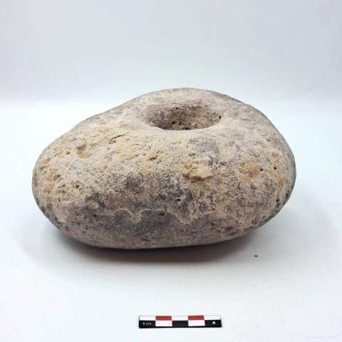 WhatsApp Image 2026-03-13 at 12.02.09 PM.jpg