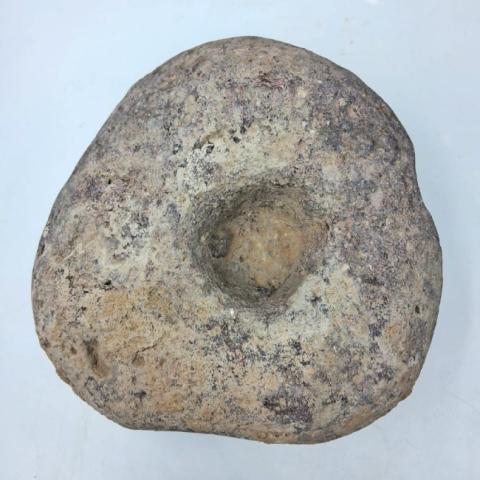 WhatsApp Image 2026-03-13 at 12.02.11 PM.jpg