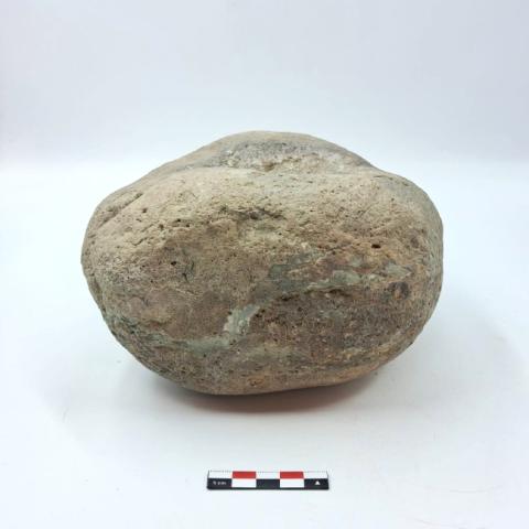 WhatsApp Image 2026-03-13 at 12.21.37 PM (2).jpg