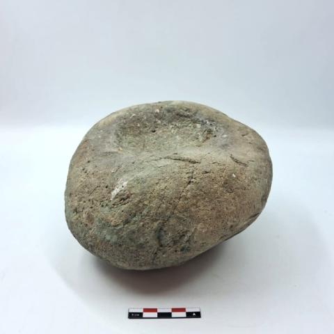 WhatsApp Image 2026-03-13 at 12.21.38 PM (1).jpg