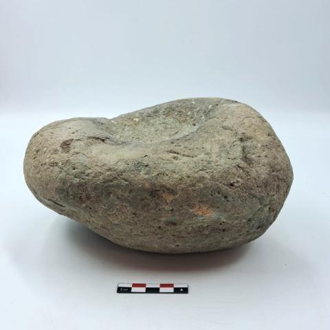 WhatsApp Image 2026-03-13 at 12.21.38 PM (2).jpg