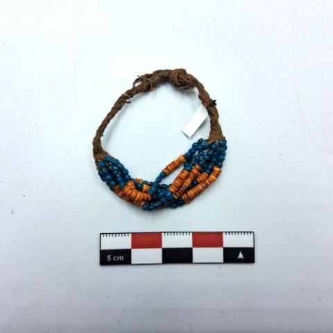 WhatsApp Image 2026-03-16 at 1.09.01 PM (1).jpg