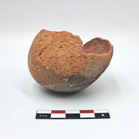 WhatsApp Image 2026-03-16 at 8.24.23 PM (1).jpg