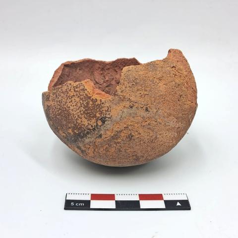 WhatsApp Image 2026-03-16 at 8.24.23 PM (4).jpeg