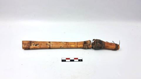 WhatsApp Image 2026-03-19 at 12.19.02 PM.jpg