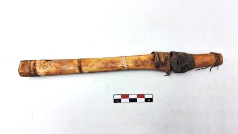 WhatsApp Image 2026-03-19 at 12.19.03 PM.jpg