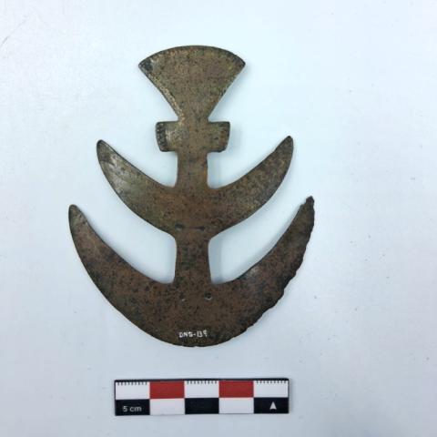 WhatsApp Image 2026-03-22 at 5.21.54 PM.jpg