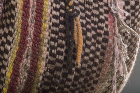 Gastón Calliñir Schifferli