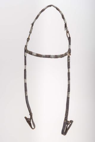 Gastón Calliñir Schifferli