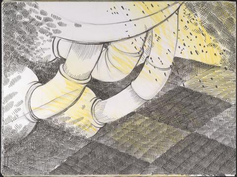 Carolina Correa Orozco