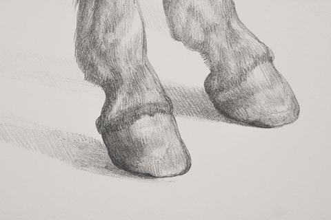 Andrea Loyola Rodríguez