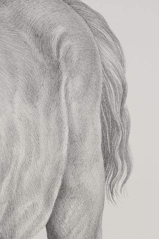 Andrea Loyola Rodríguez