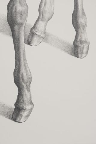 Andrea Loyola Rodríguez