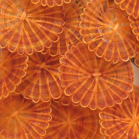 Margarita Valenzuela