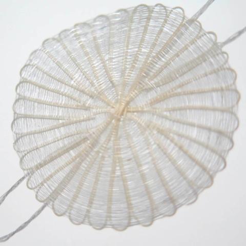 Margarita Valenzuela