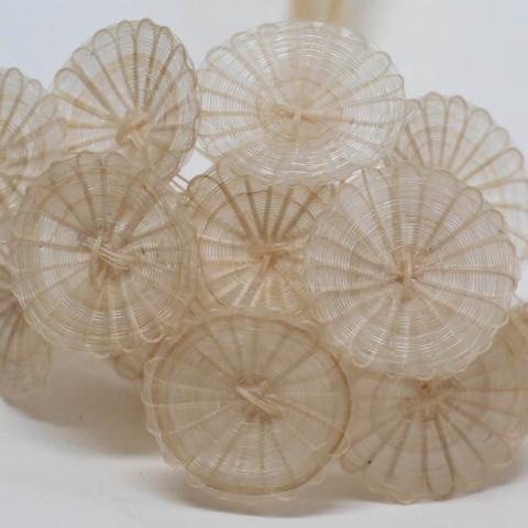 Margarita Valenzuela Dabiké