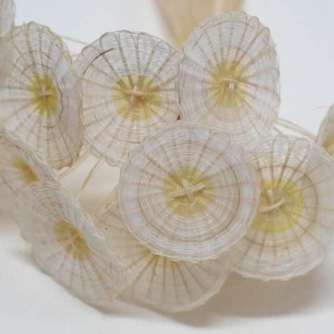 Margarita VAlenzuela