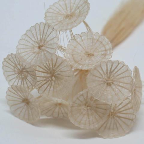 Margarita Valenzuela Dabiké