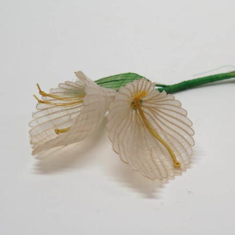 Margarita Valenzuela